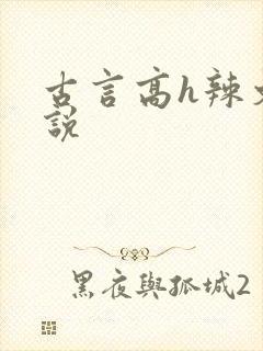 古言高h辣文小说封面
