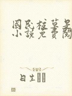 国民校草是女生小说免费阅读