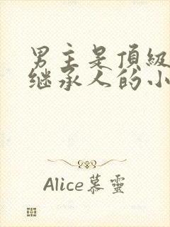 男主是顶级家族继承人的小说