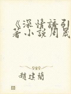 《深情诱引》原著小说周晟安结局是封面