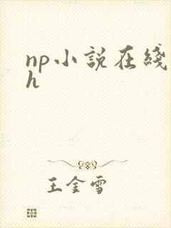 np小说在线高h