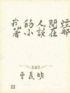 我的人间烟火原著小说在哪里可以看