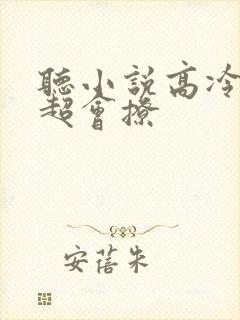 听小说高冷校草超会撩