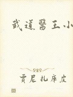 武道医王小妖封面