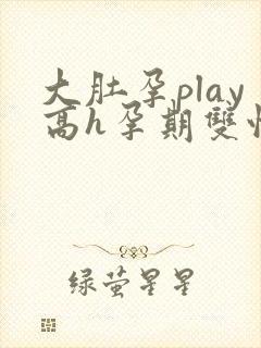 大肚孕play高h孕期双性