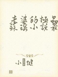 老婆的极品闺蜜苏瑶小说最新章节内