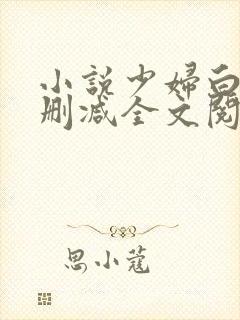 小说少妇白洁无删减全文阅读