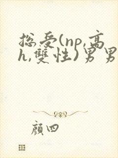 总受(np,高h,双性)男男