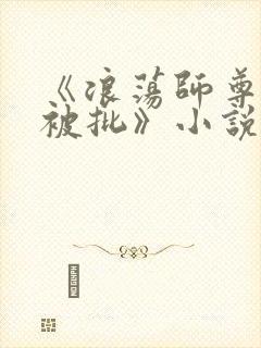 《浪荡师尊就该被批》小说