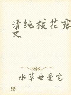 清纯校花露出h文