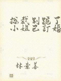 总裁别跪了,姜小姐已订婚下载 全本封面