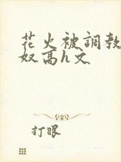 花火被调教成肉奴高h文