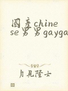 国产chinese男男gaygay在线播放网站