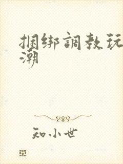 捆绑调教玩弄高潮