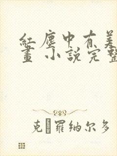 红尘中有美人如画 小说完整封面