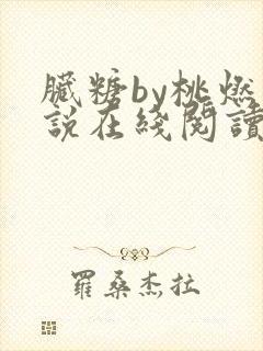 脏糖by桃燃小说在线阅读封面