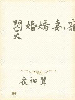 闪婚娇妻,宠上天