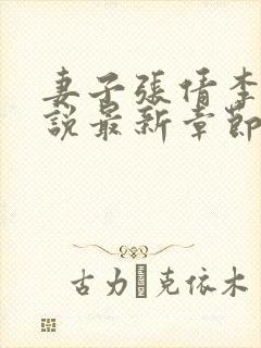 妻子张倩李源小说最新章节更新时间