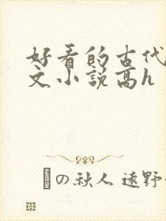 好看的古代调教文小说高h