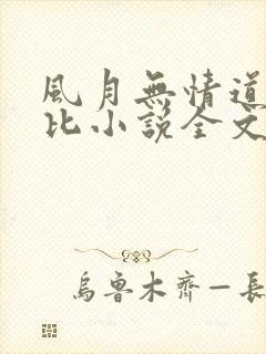 风月无情道比卡比小说全文免费阅读笔趣阁封面