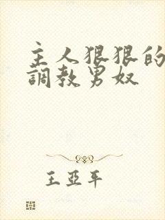 主人狠狠的惩罚调教男奴