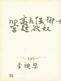 np高h伍御女宫廷欲奴