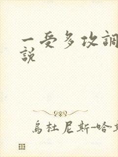 一受多攻调教小说