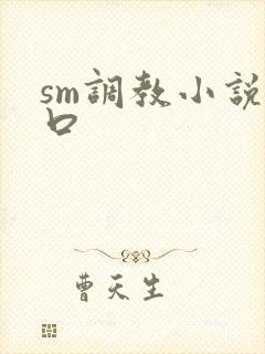 sm调教小说重口封面
