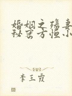 婚姻之殇妻子的秘密方恒小说在线阅读封面