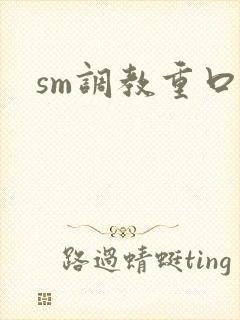 sm调教重口文