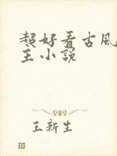 超好看古风双男主小说