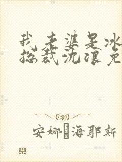 我老婆是冰山女总裁沈浪免费阅读封面