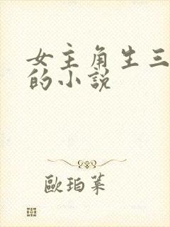 女主角生三胞胎的小说