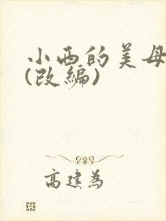 小西的美母教师(改编)