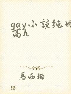 gay小说纯肉高h