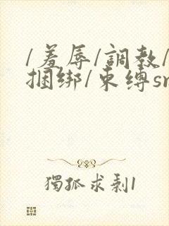 /羞辱/调教/捆绑/束缚sm小说