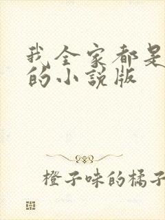 我全家都是穿来的小说版封面