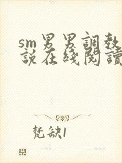 sm男男调教小说在线阅读