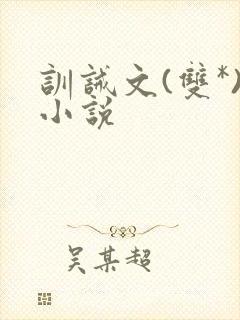 训诫文(双*)小说