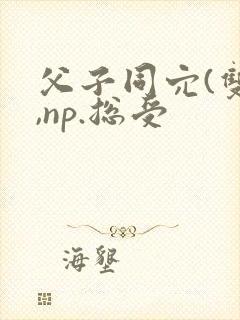 父子同穴(双性,np.总受