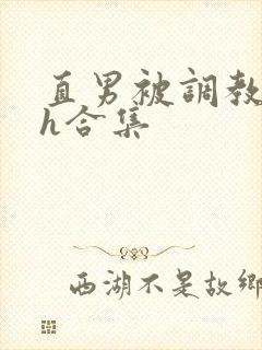 直男被调教成受h合集封面