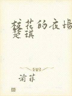 校花的夜场堕落楚琪