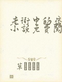 老街中的痞子 小说免费阅读封面