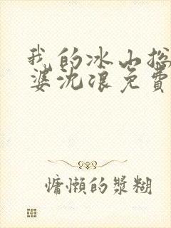 我的冰山总裁老婆沈浪免费阅读封面