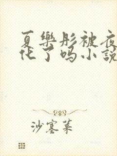 夏乐彤被夜落黑化了吗小说