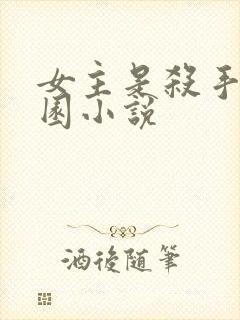 女主是杀手的校园小说封面