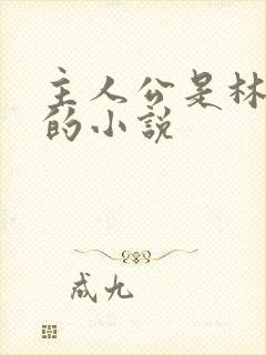 主人公是林小雅的小说