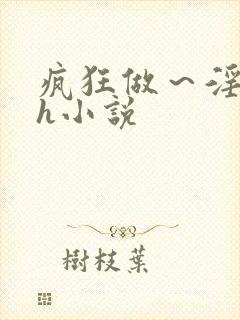 疯狂做～淫h文h小说