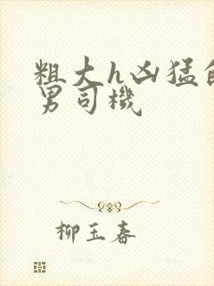 粗大h凶猛的直男司机