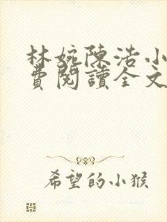 林婉陈浩小说免费阅读全文最新章节